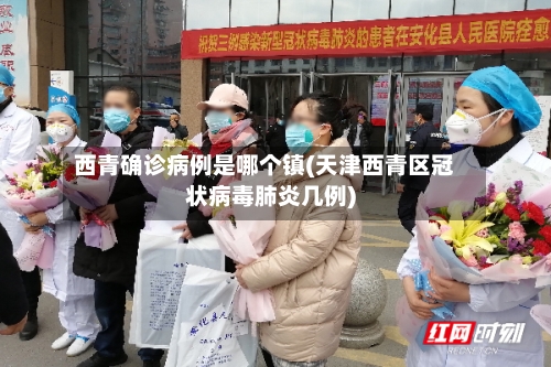 西青确诊病例是哪个镇(天津西青区冠状病毒肺炎几例)