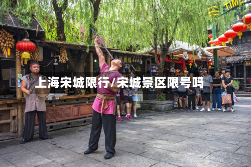 上海宋城限行/宋城景区限号吗-第2张图片