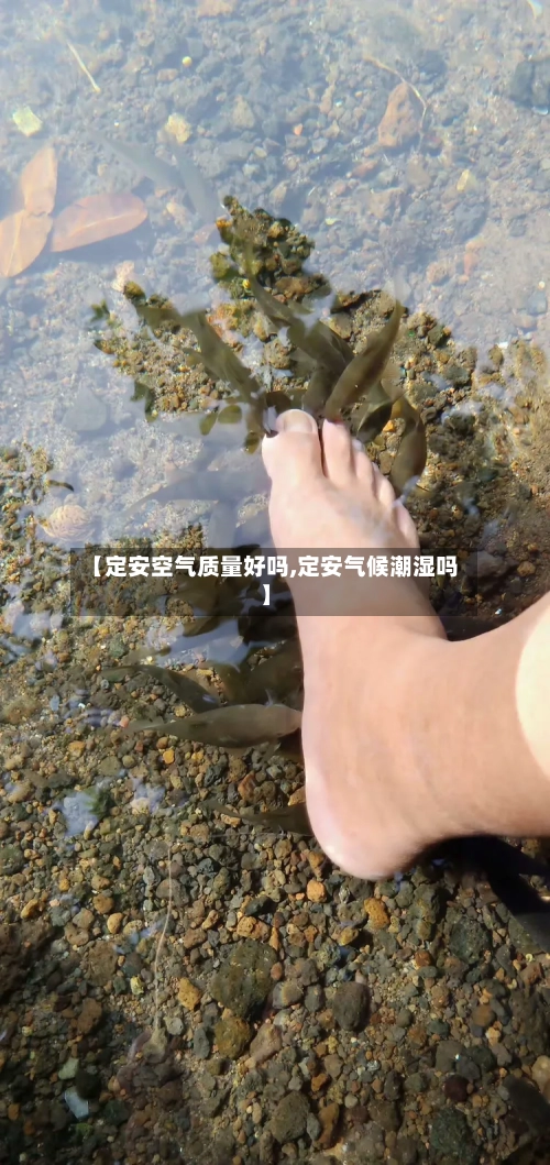 【定安空气质量好吗,定安气候潮湿吗】