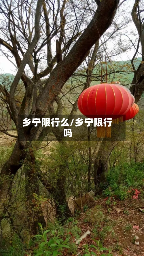 乡宁限行么/乡宁限行吗-第2张图片