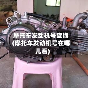 摩托车发动机号查询(摩托车发动机号在哪儿看)-第2张图片