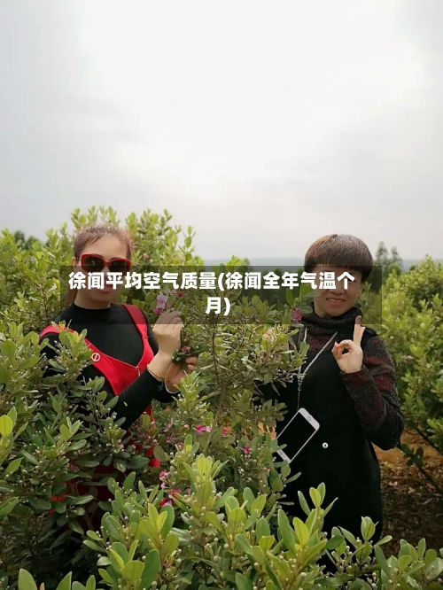 徐闻平均空气质量(徐闻全年气温个月)-第2张图片