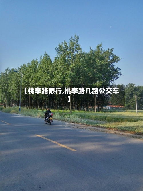 【桃李路限行,桃李路几路公交车】