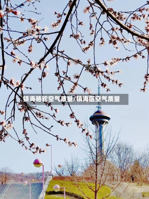 镇海骆驼空气质量/镇海区空气质量-第3张图片