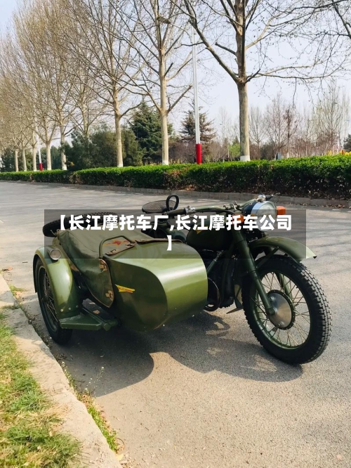 【长江摩托车厂,长江摩托车公司】