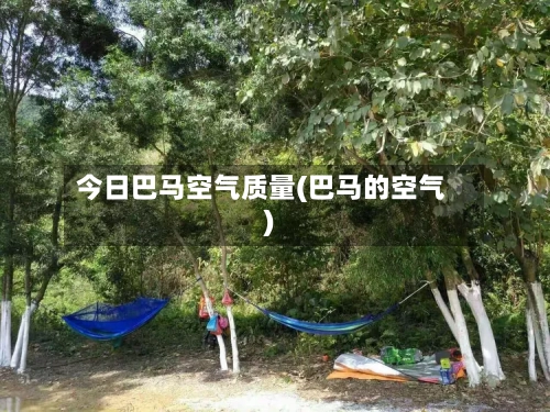今日巴马空气质量(巴马的空气)-第3张图片