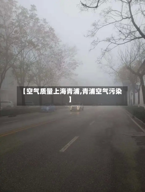 【空气质量上海青浦,青浦空气污染】-第2张图片