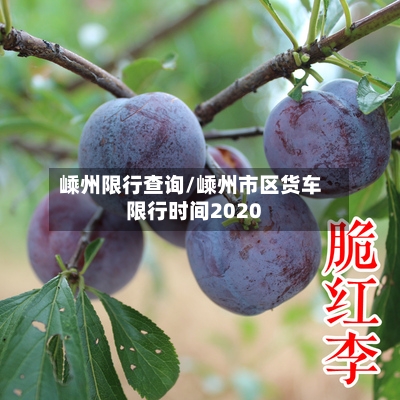 嵊州限行查询/嵊州市区货车限行时间2020