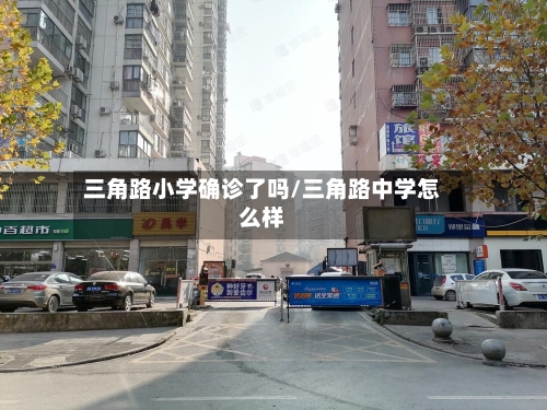 三角路小学确诊了吗/三角路中学怎么样-第3张图片