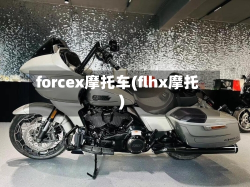 forcex摩托车(flhx摩托)-第3张图片