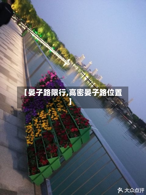 【晏子路限行,高密晏子路位置】