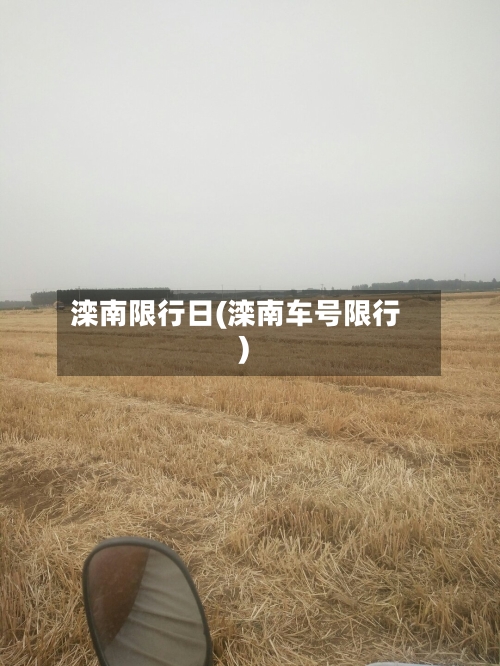 滦南限行日(滦南车号限行)-第3张图片