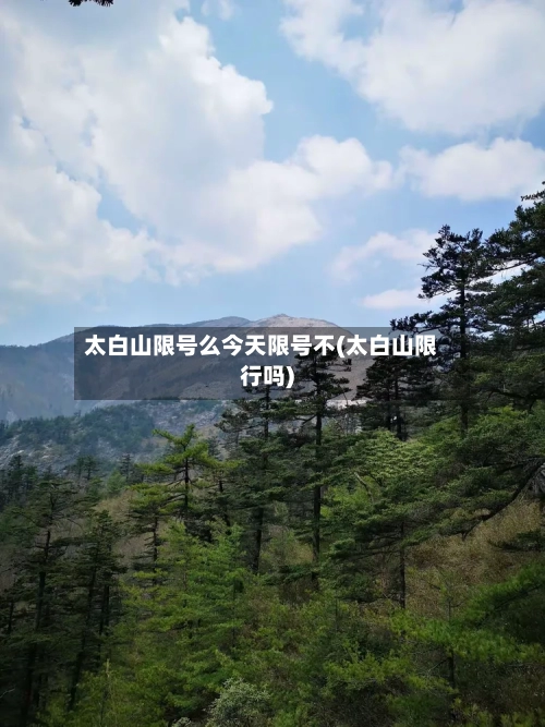 太白山限号么今天限号不(太白山限行吗)