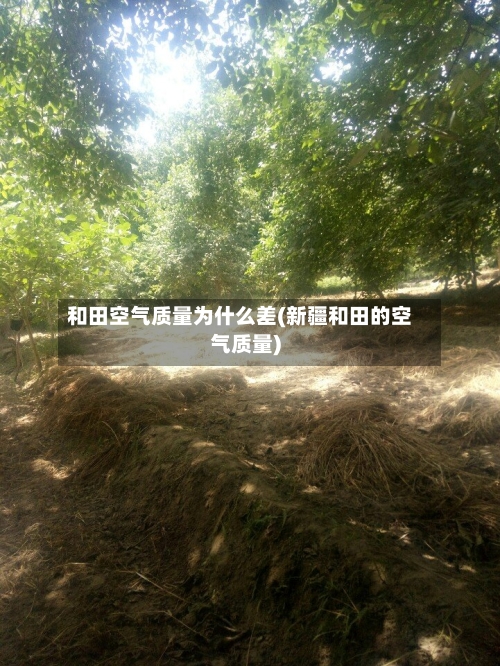 和田空气质量为什么差(新疆和田的空气质量)