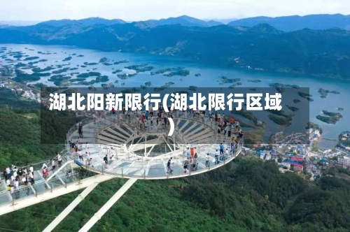 湖北阳新限行(湖北限行区域)