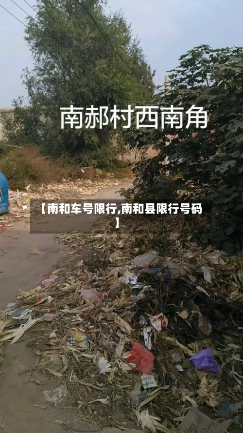 【南和车号限行,南和县限行号码】
