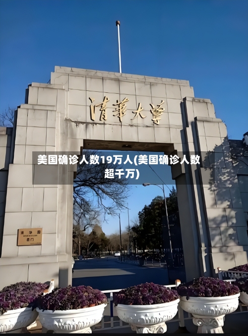 美国确诊人数19万人(美国确诊人数超千万)