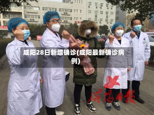 咸阳28日新增确诊(咸阳最新确诊病例)