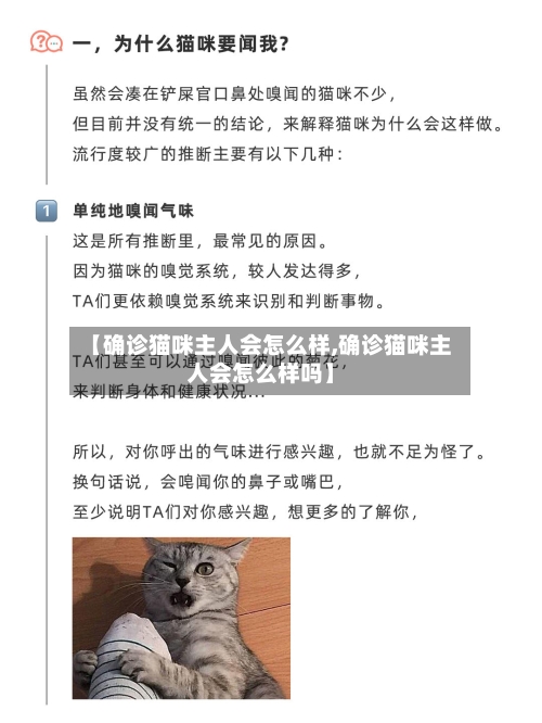 【确诊猫咪主人会怎么样,确诊猫咪主人会怎么样吗】
