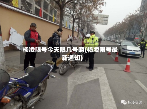 杨凌限号今天限几号啊(杨凌限号最新通知)-第2张图片