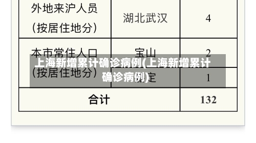 上海新增累计确诊病例(上海新增累计确诊病例)-第2张图片