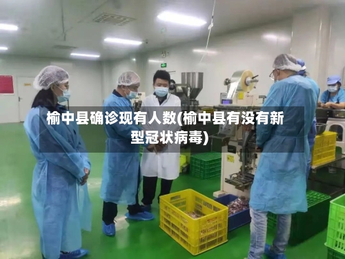榆中县确诊现有人数(榆中县有没有新型冠状病毒)-第3张图片