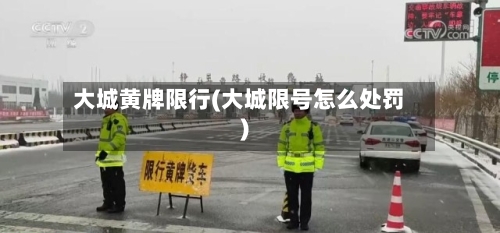 大城黄牌限行(大城限号怎么处罚)