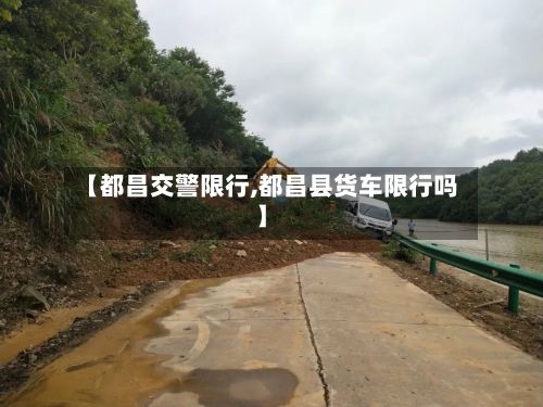 【都昌交警限行,都昌县货车限行吗】-第3张图片