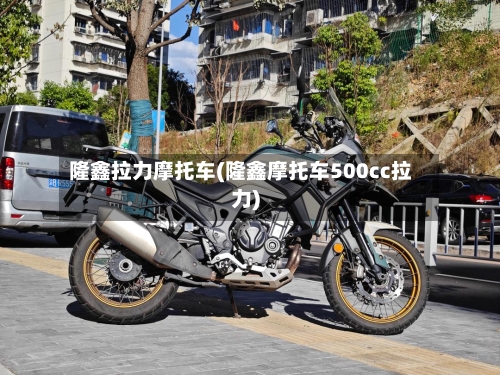 隆鑫拉力摩托车(隆鑫摩托车500cc拉力)