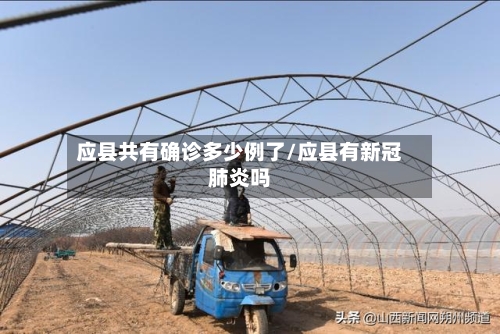 应县共有确诊多少例了/应县有新冠肺炎吗-第3张图片