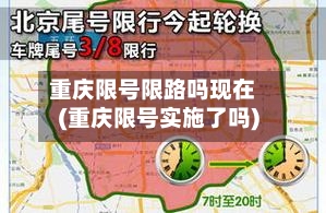 重庆限号限路吗现在(重庆限号实施了吗)-第3张图片