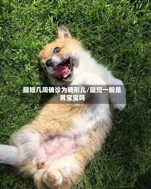 腿短几周确诊为畸形儿/腿短一般是男宝宝吗