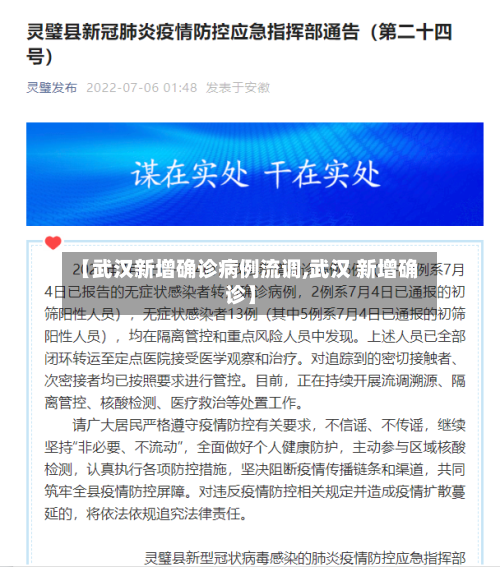 【武汉新增确诊病例流调,武汉 新增确诊】-第2张图片