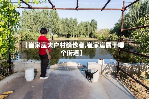 【崔家崖大户村确诊者,崔家崖属于哪个街道】-第2张图片