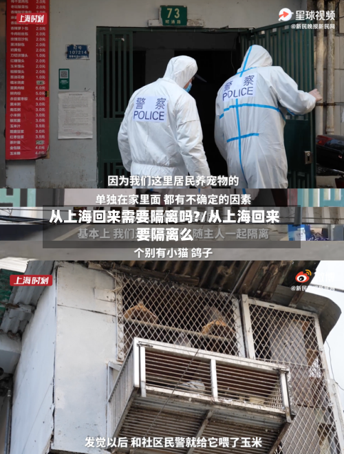 从上海回来需要隔离吗?/从上海回来要隔离么