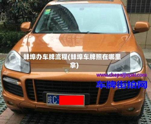 蚌埠办车牌流程(蚌埠车牌照在哪里拿)