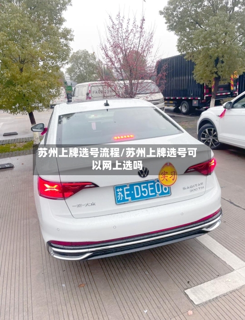 苏州上牌选号流程/苏州上牌选号可以网上选吗