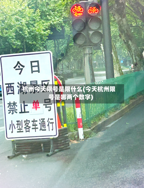 杭州今天限号是限什么(今天杭州限号是哪两个数字)-第2张图片