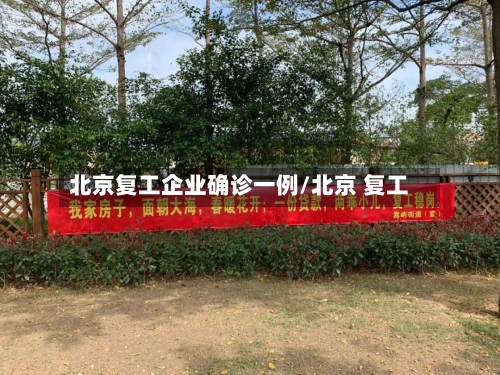 北京复工企业确诊一例/北京 复工-第2张图片
