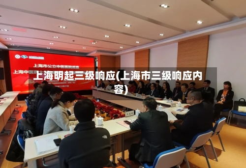 上海明起三级响应(上海市三级响应内容)-第2张图片