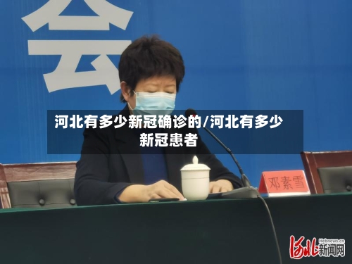 河北有多少新冠确诊的/河北有多少新冠患者-第2张图片