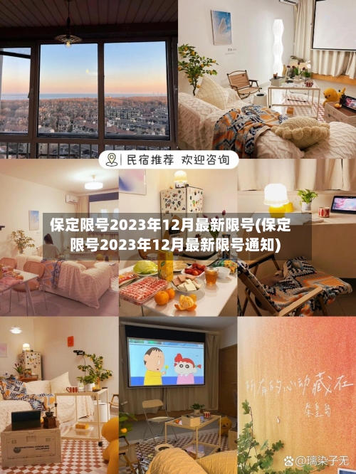 保定限号2023年12月最新限号(保定限号2023年12月最新限号通知)-第2张图片