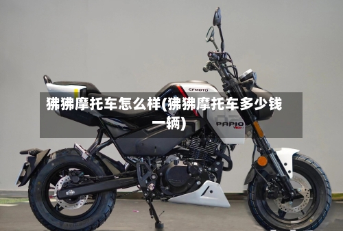 狒狒摩托车怎么样(狒狒摩托车多少钱一辆)