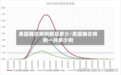美国确诊病例都是多少/美国确诊病例一共多少例-第2张图片