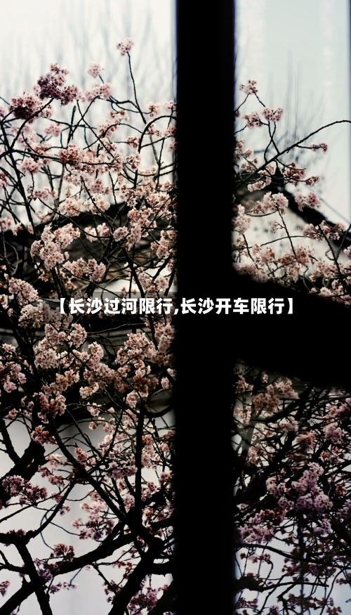 【长沙过河限行,长沙开车限行】-第3张图片