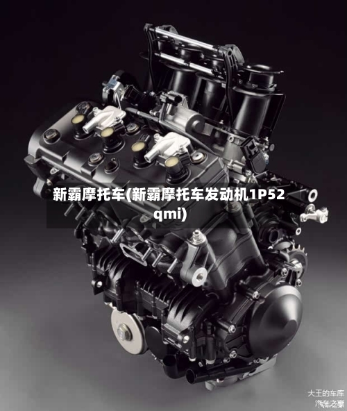 新霸摩托车(新霸摩托车发动机1P52qmi)