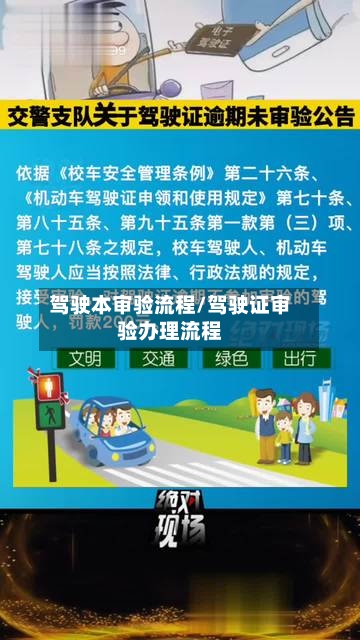 驾驶本审验流程/驾驶证审验办理流程