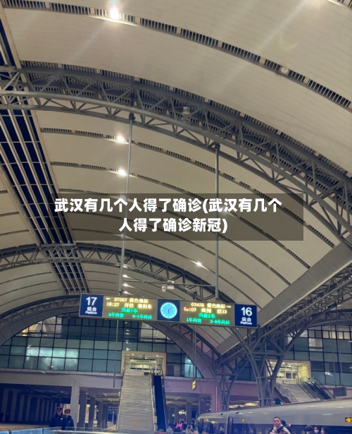 武汉有几个人得了确诊(武汉有几个人得了确诊新冠)