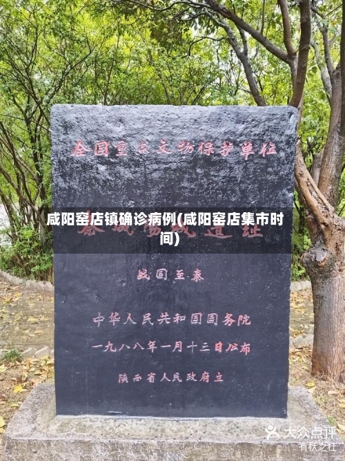 咸阳窑店镇确诊病例(咸阳窑店集市时间)-第3张图片