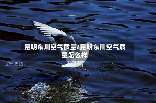 昆明东川空气质量/昆明东川空气质量怎么样-第2张图片